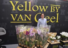 Judith Springer van Van Geel, een orchideeënkweker die de planten veelal aanbiedt in kleurenmixen gesorteerd op verschillende kwaliteitsklassen.